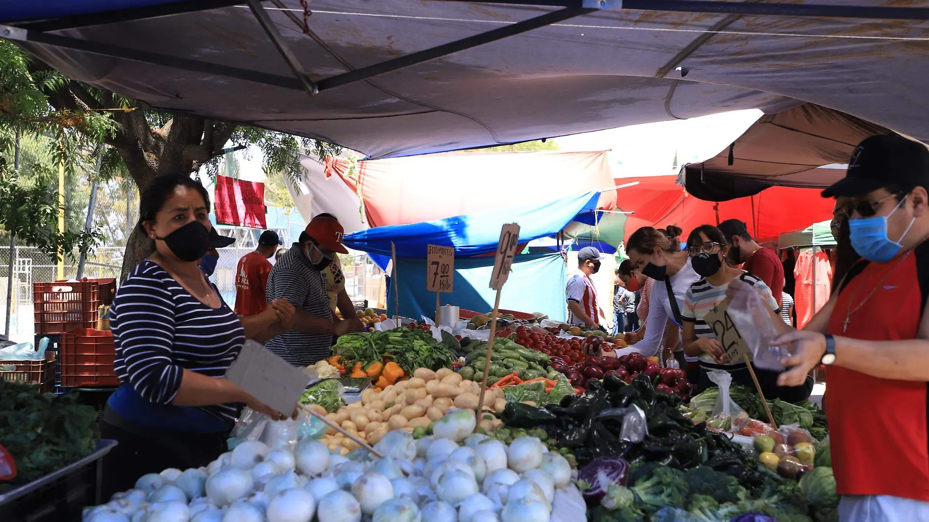 MPIO MERCADOS_1